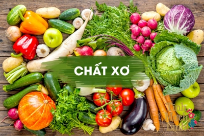 Chế độ ăn cho người bệnh giãn tĩnh mạch thừng tinh