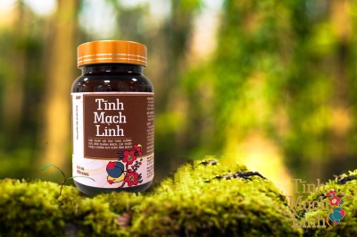 Uống Tĩnh Mạch Linh như thế nào để hiệu quả và tiết kiệm?