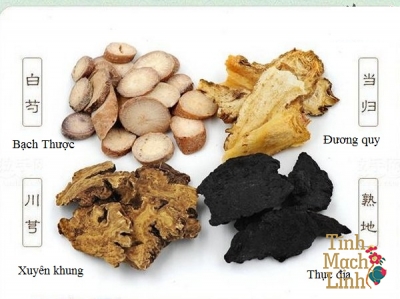 Thuốc trị hội chứng ống cổ tay theo Y học cổ truyền