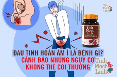 Đau tinh hoàn âm ỉ là bệnh gì? Cảnh báo những nguy cơ không thể coi thường